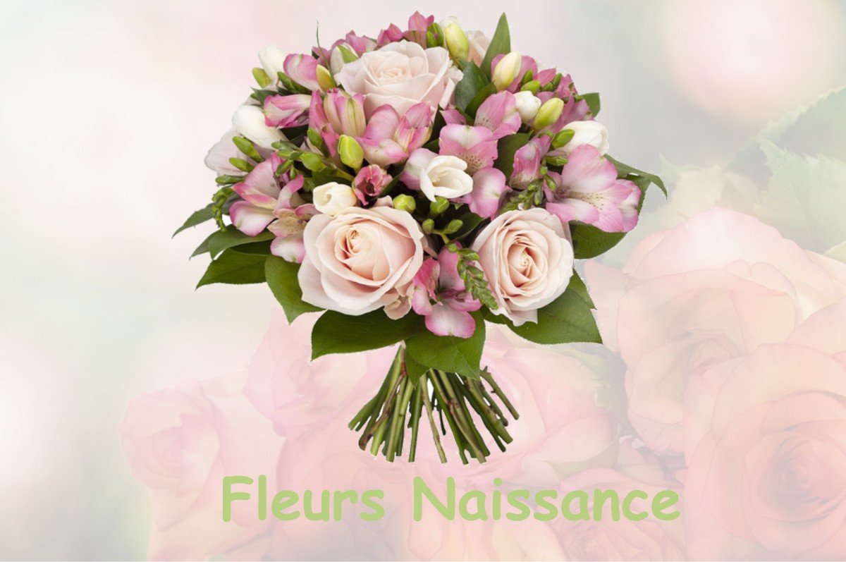 fleurs naissance LOC-EGUINER-SAINT-THEGONNEC