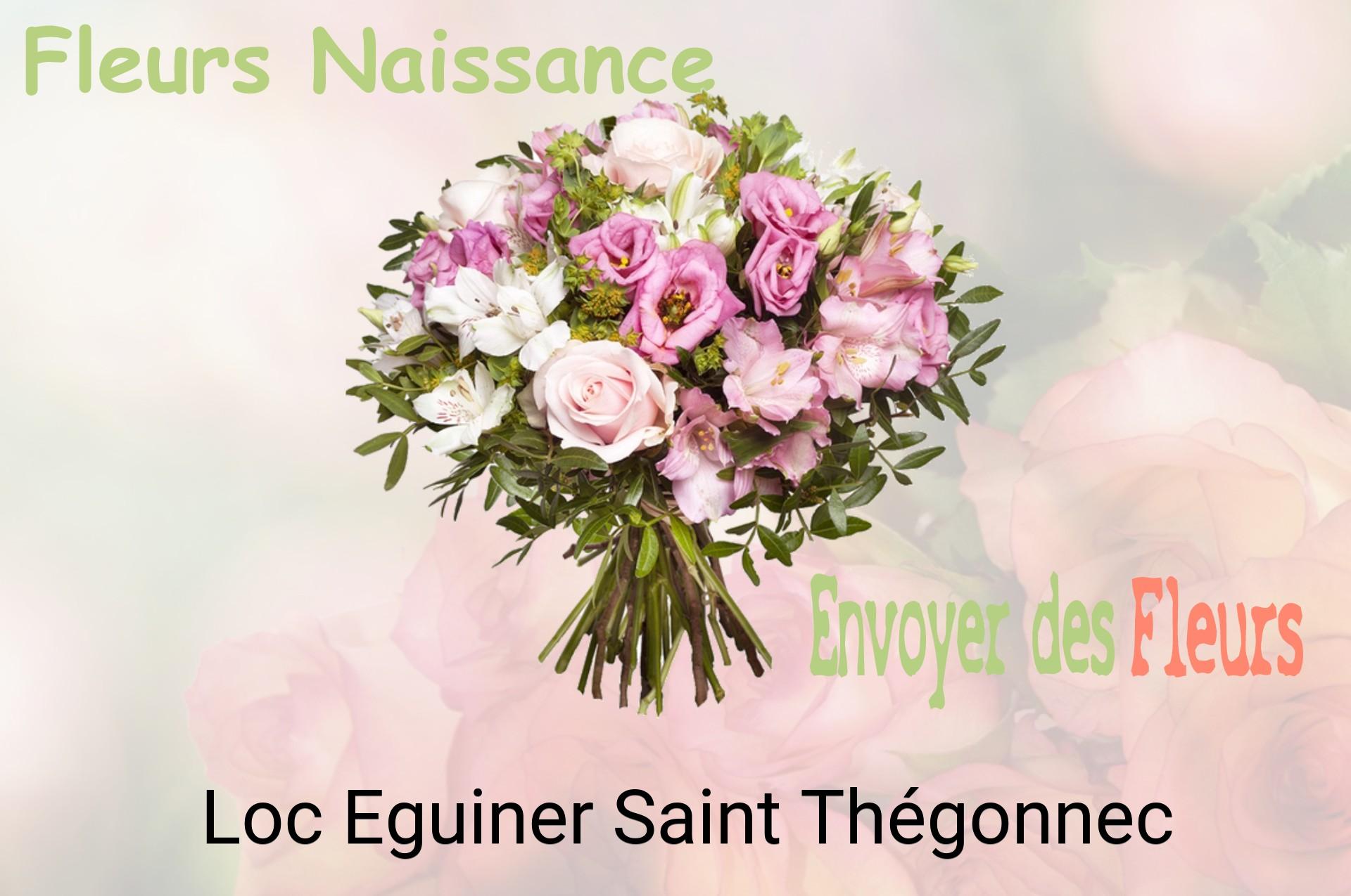 Bouquet de fleurs de naissance livré à Loc-Eguiner-Saint-Thégonnec
